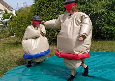 Jeu combat de sumos